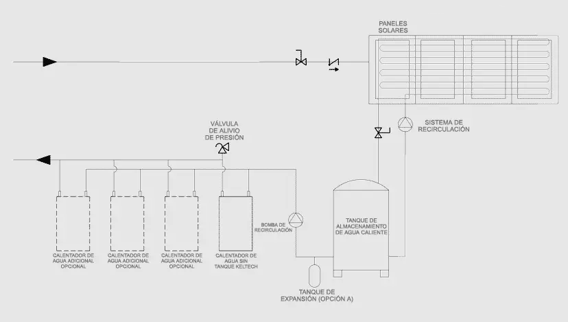 Tankless water heater recirculation pump