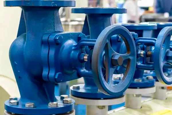 globe valve